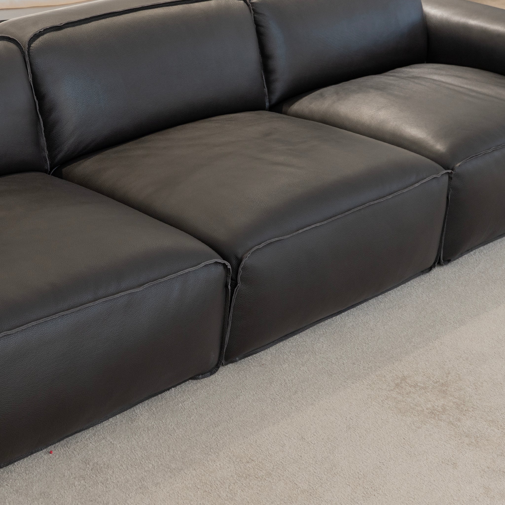 Horizon Leather Sectional