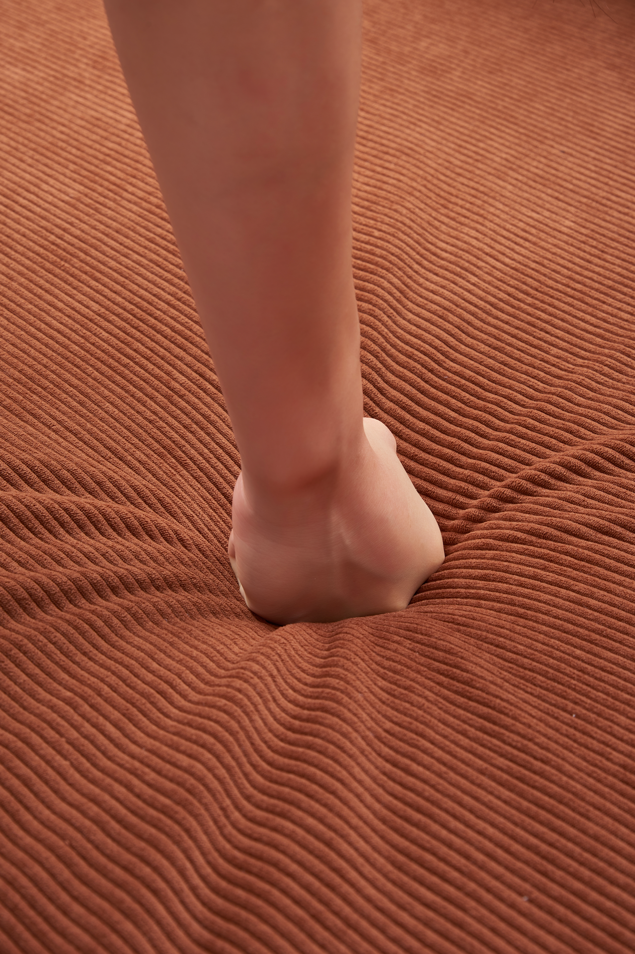 Modele Compression Sofa