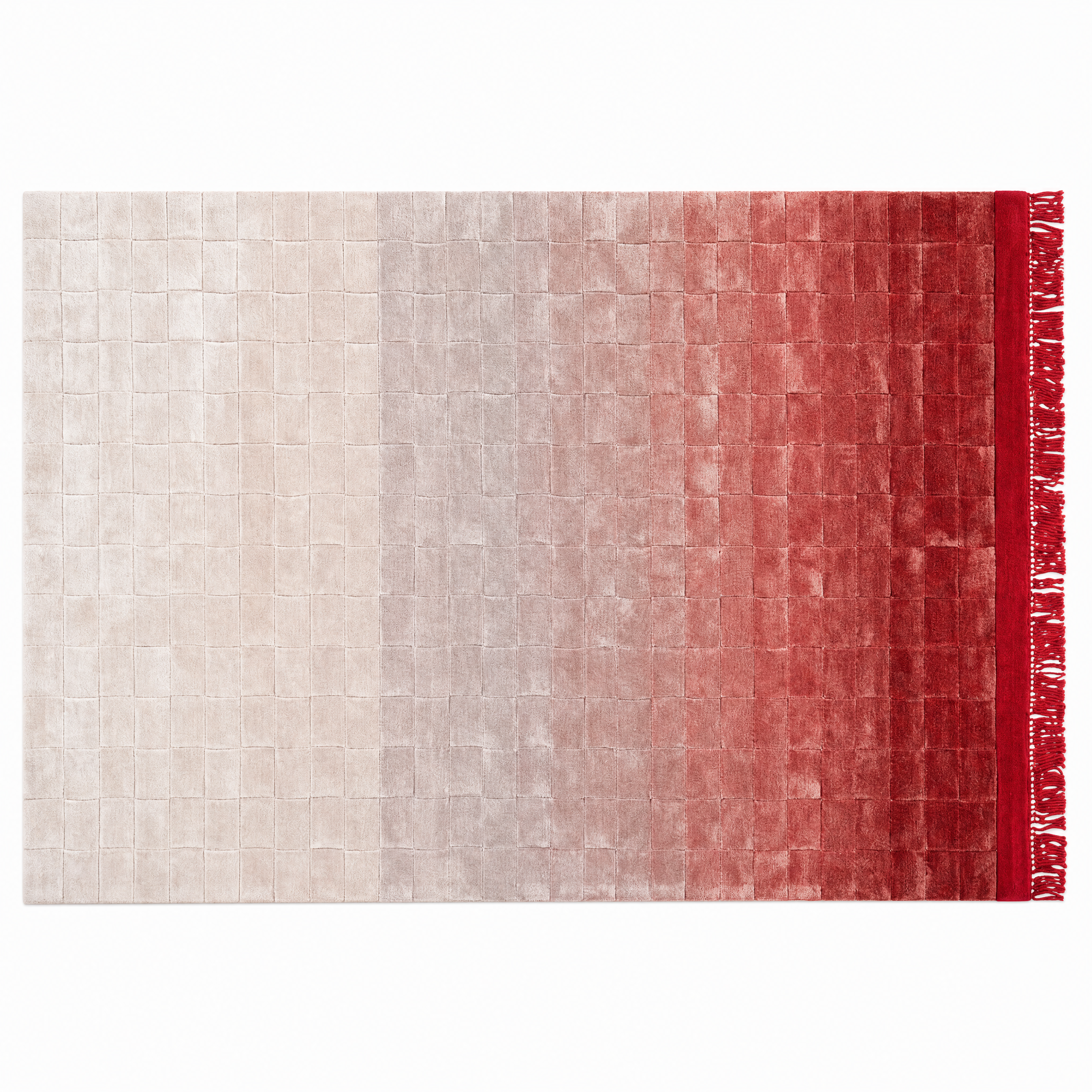 Ombre Fringe Rug