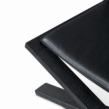 Axis Chair - FURNIBLE.