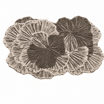 Coral Bloom Tufted Rug - FURNIBLE.