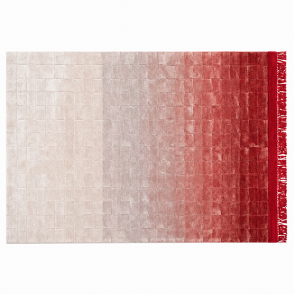 Ombre Fringe Rug