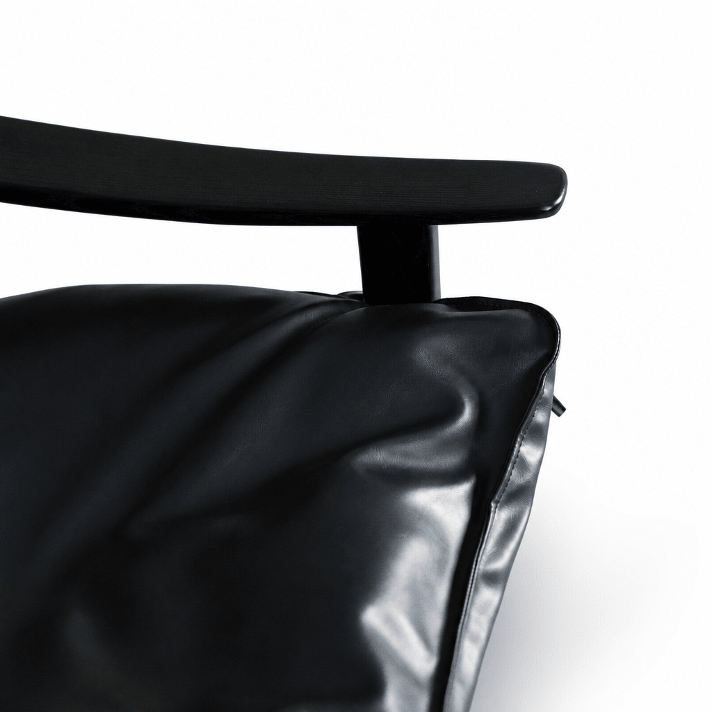 Noir Lounge Chair - FURNIBLE.